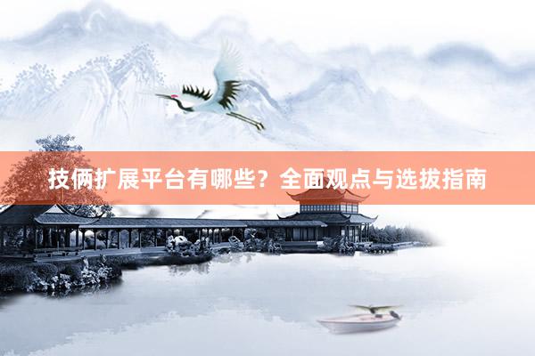技俩扩展平台有哪些？全面观点与选拔指南
