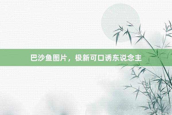 巴沙鱼图片，极新可口诱东说念主